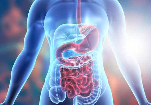 BPC-157 Benefits as Shown in Research