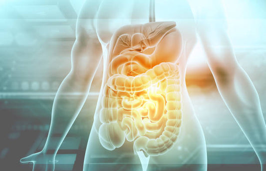 What are the potential side effects of BPC-157?